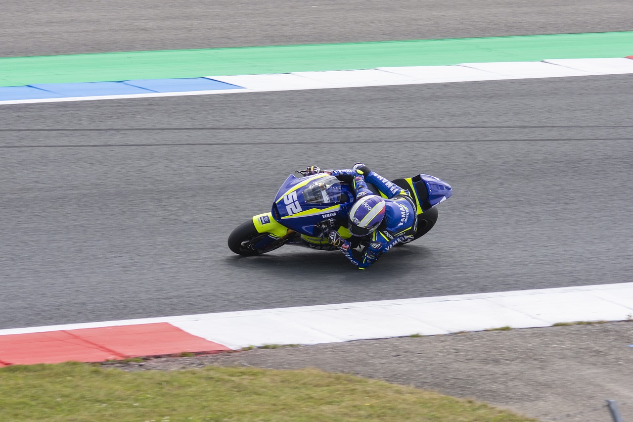 年是葡萄牙 年是葡萄牙