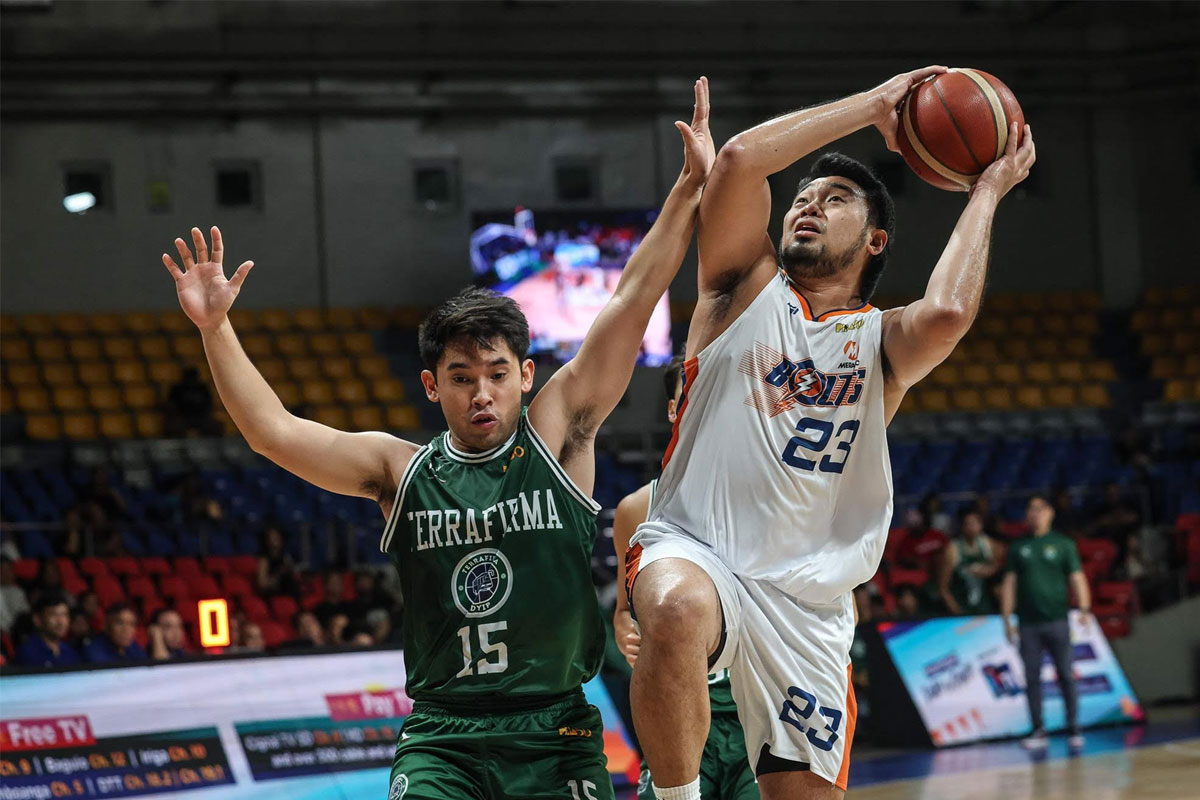 藍衣軍團 藍衣軍團