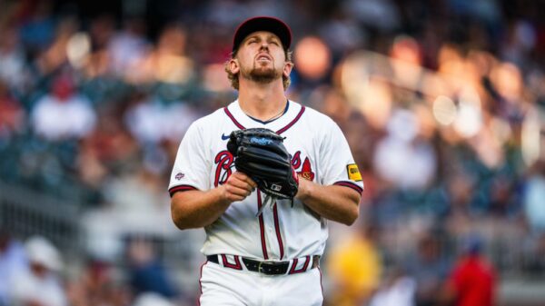 著名荷兰球 著名荷兰球